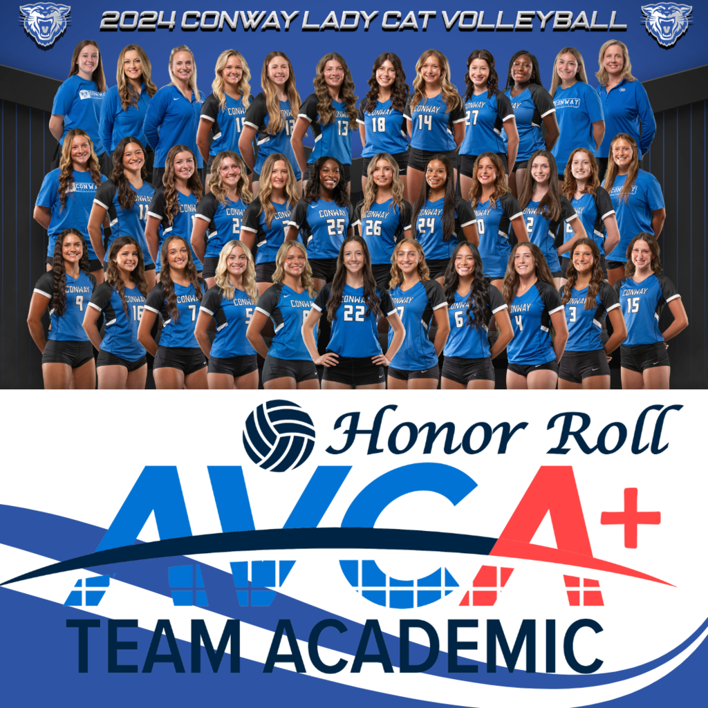 Team Academic Award VB