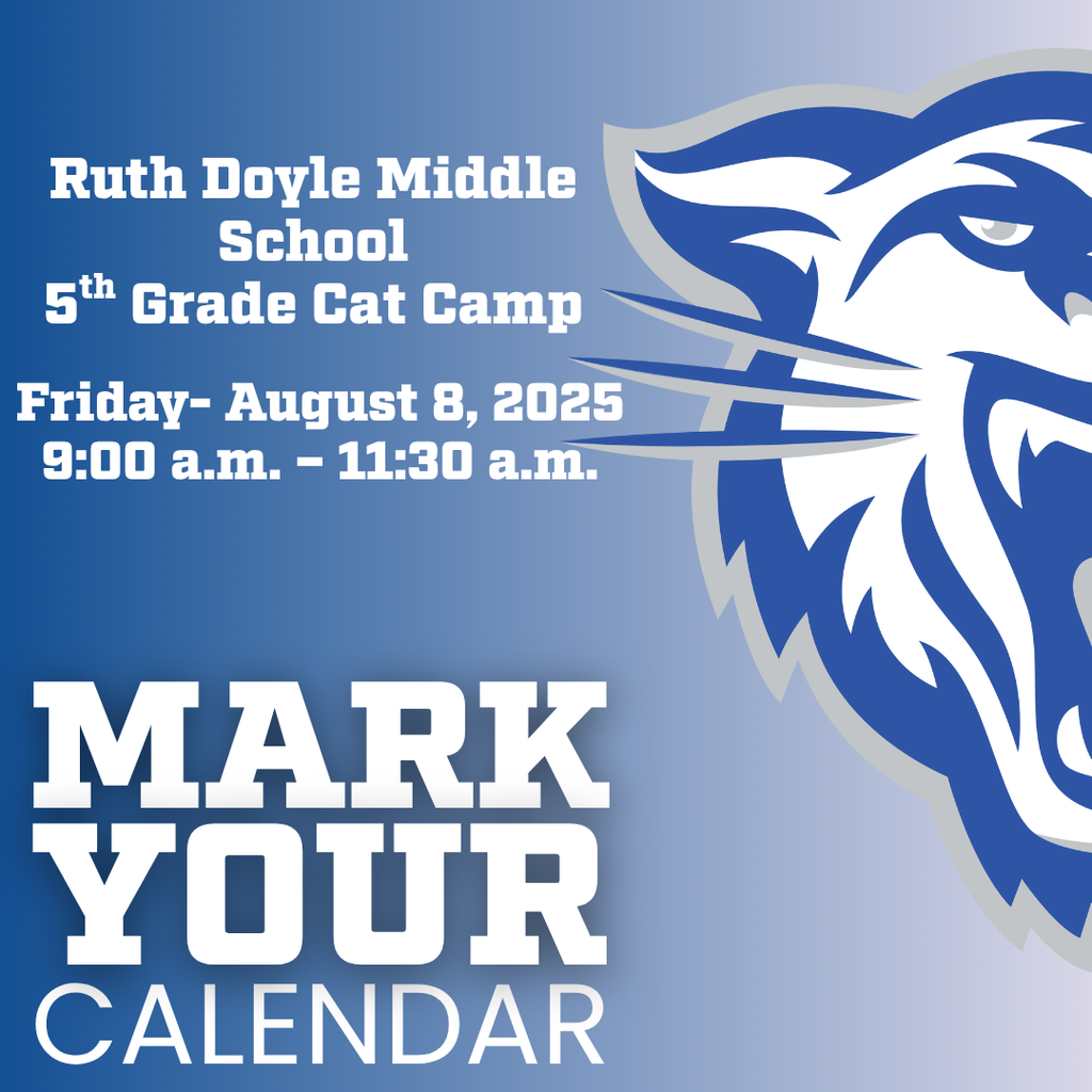 cat camp flyer