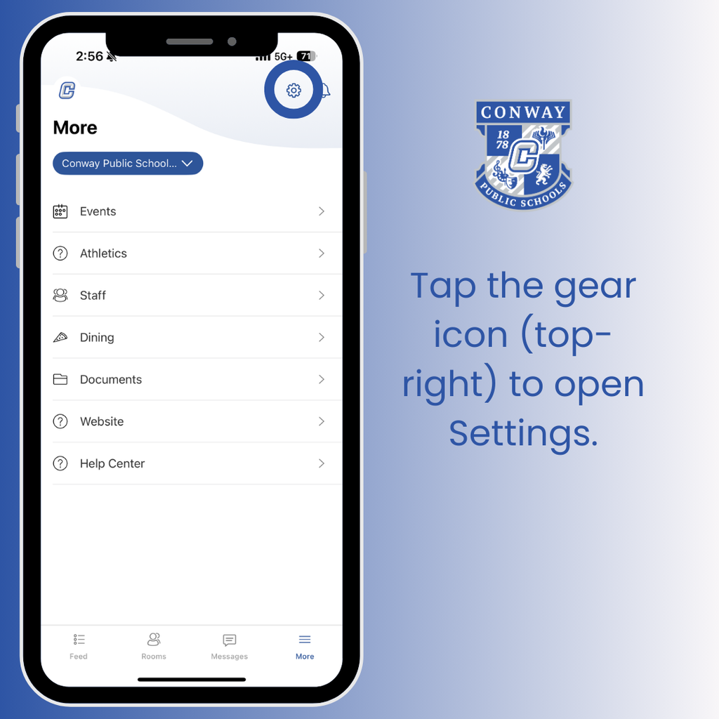 Tap the gear icon (top-right) to open Settings