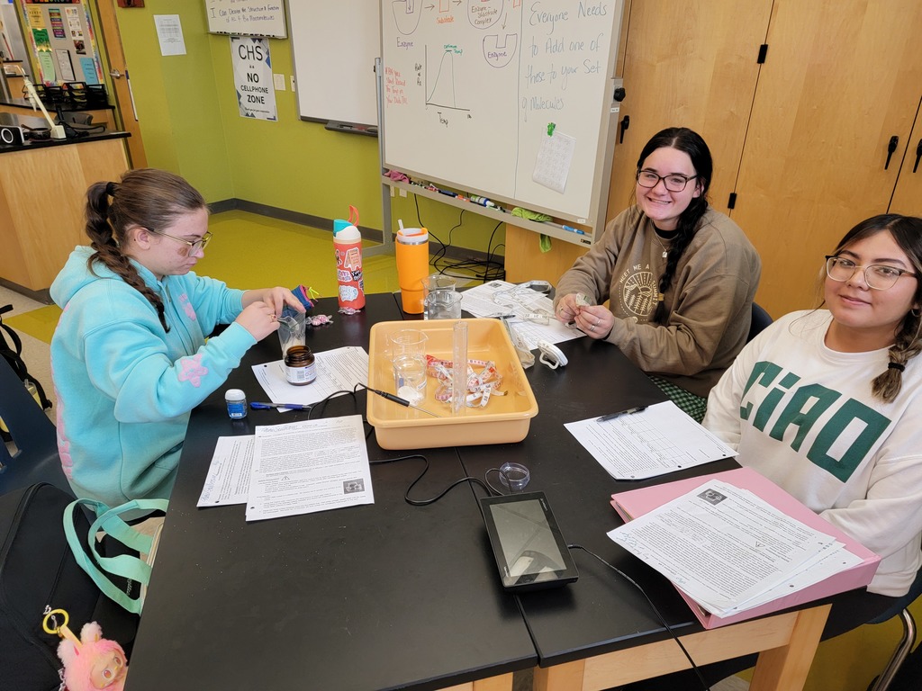 🧪🔬 Science in Action! Ms. Bowden’s UACCM Fundamentals of Biology students had fun in the lab today investigating the effects of temperature on enzyme activity and fermentation rates using living yeast cells. Hands-on experiments make biology come alive! 🌡️🍞 #CHSWampusCats #BiologyLab #HandsOnLearning
