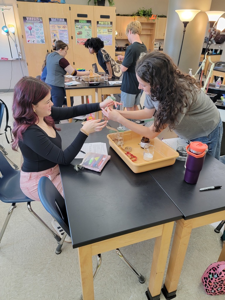 🧪🔬 Science in Action! Ms. Bowden’s UACCM Fundamentals of Biology students had fun in the lab today investigating the effects of temperature on enzyme activity and fermentation rates using living yeast cells. Hands-on experiments make biology come alive! 🌡️🍞 #CHSWampusCats #BiologyLab #HandsOnLearning