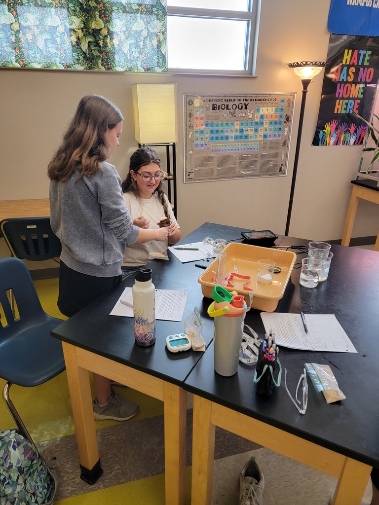 🧪🔬 Science in Action! Ms. Bowden’s UACCM Fundamentals of Biology students had fun in the lab today investigating the effects of temperature on enzyme activity and fermentation rates using living yeast cells. Hands-on experiments make biology come alive! 🌡️🍞 #CHSWampusCats #BiologyLab #HandsOnLearning