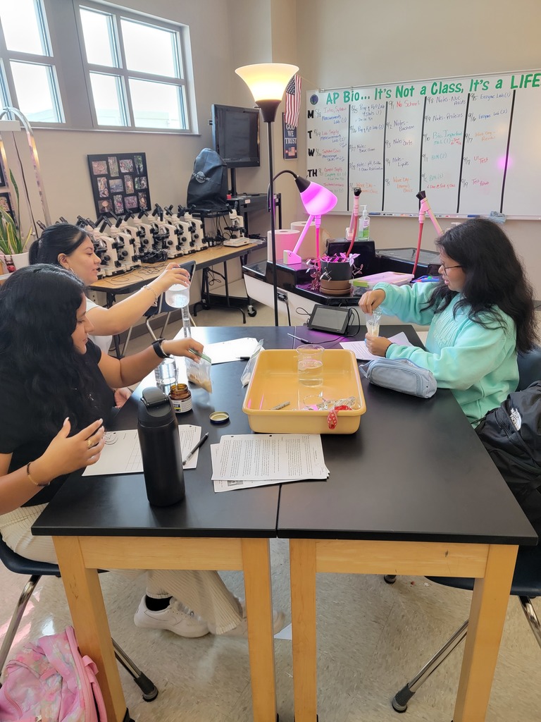 🧪🔬 Science in Action! Ms. Bowden’s UACCM Fundamentals of Biology students had fun in the lab today investigating the effects of temperature on enzyme activity and fermentation rates using living yeast cells. Hands-on experiments make biology come alive! 🌡️🍞 #CHSWampusCats #BiologyLab #HandsOnLearning