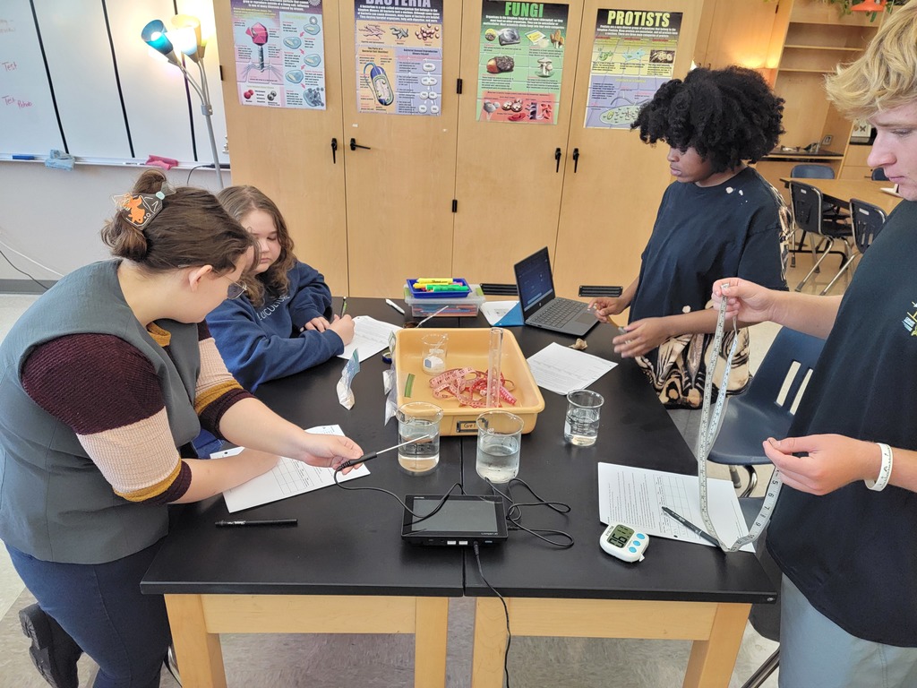🧪🔬 Science in Action! Ms. Bowden’s UACCM Fundamentals of Biology students had fun in the lab today investigating the effects of temperature on enzyme activity and fermentation rates using living yeast cells. Hands-on experiments make biology come alive! 🌡️🍞 #CHSWampusCats #BiologyLab #HandsOnLearning