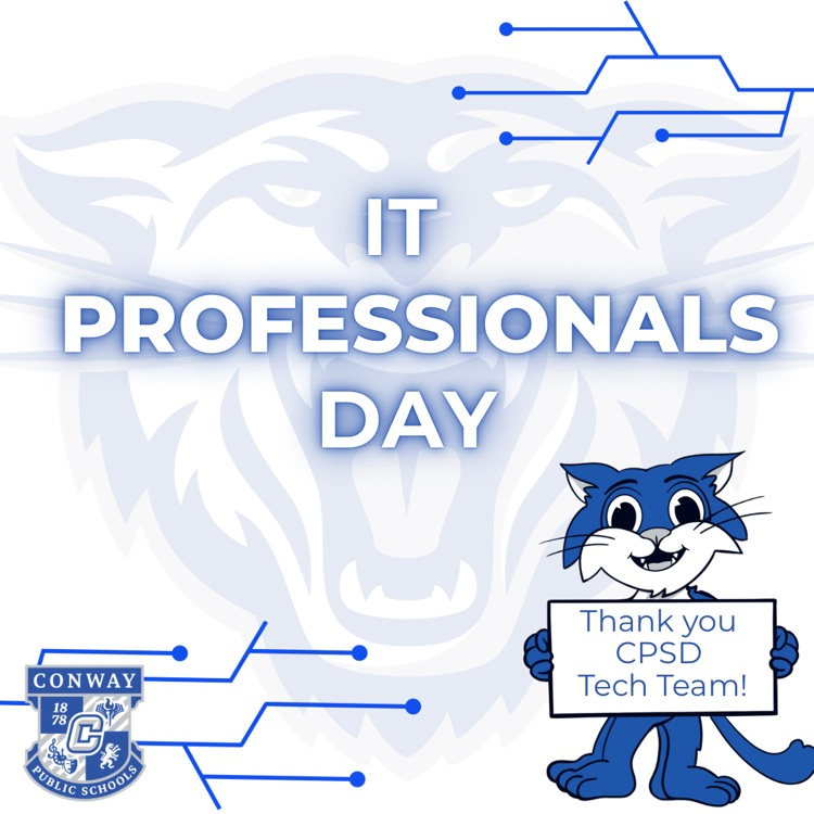 it professionals day