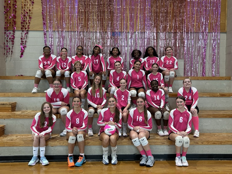 Ruth Doyle volleyball girls enjoying “Pink Out” night. 
