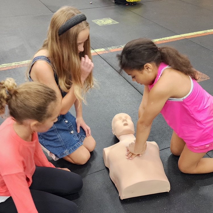 cpr class 