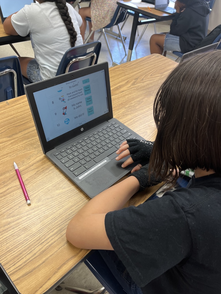 Reading Mastery by computer review