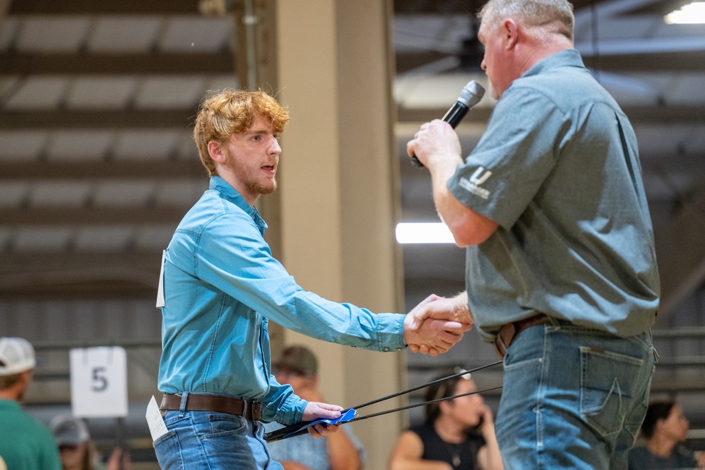 Conway FFA students showing livestock