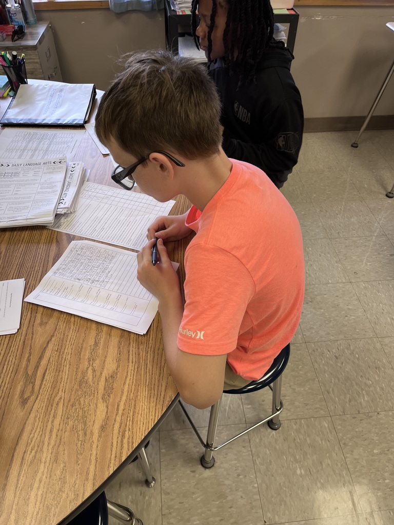 Revising and editing essays with a partner