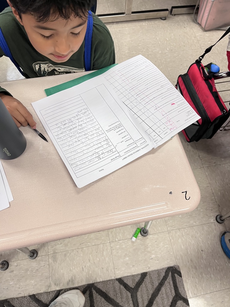 Revising and editing essays with a partner