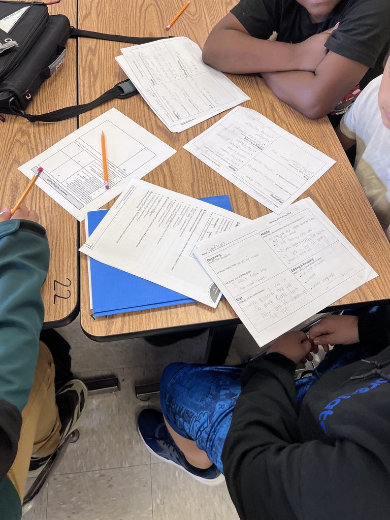 Revising and editing essays with a partner