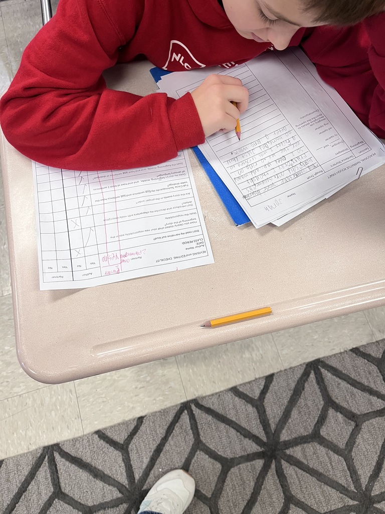 Revising and editing essays with a partner