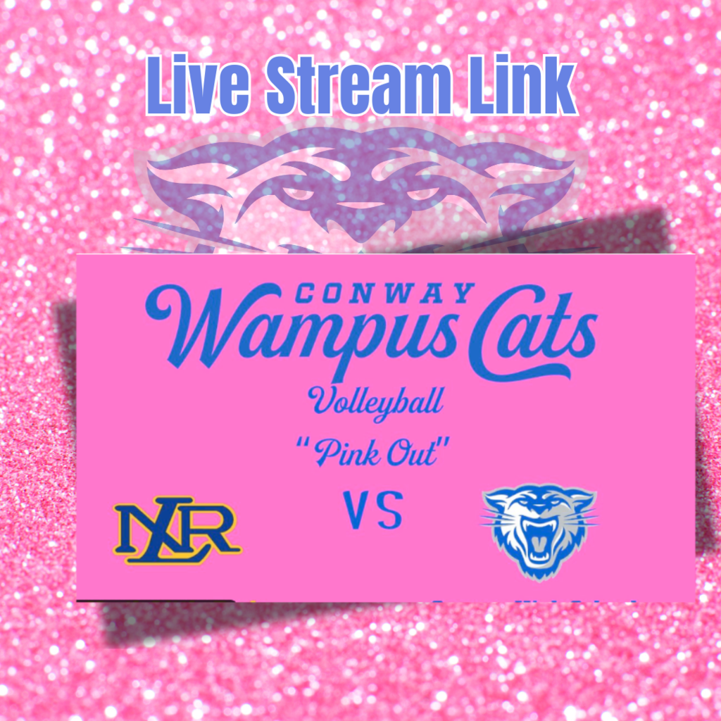 Pink Night LiveStream Link