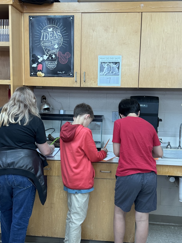 students writing about animals