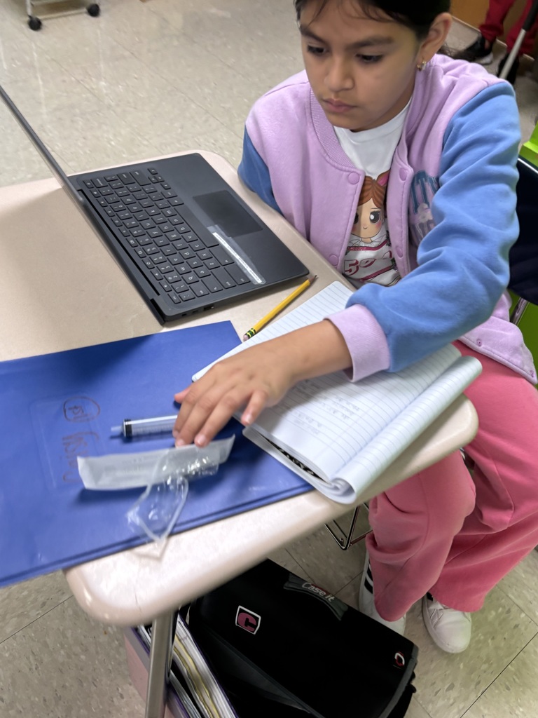 5th graders science experiments