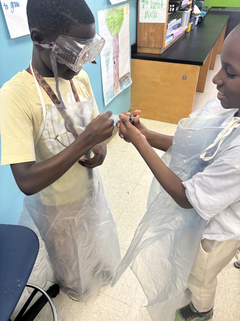 5th graders science experiments