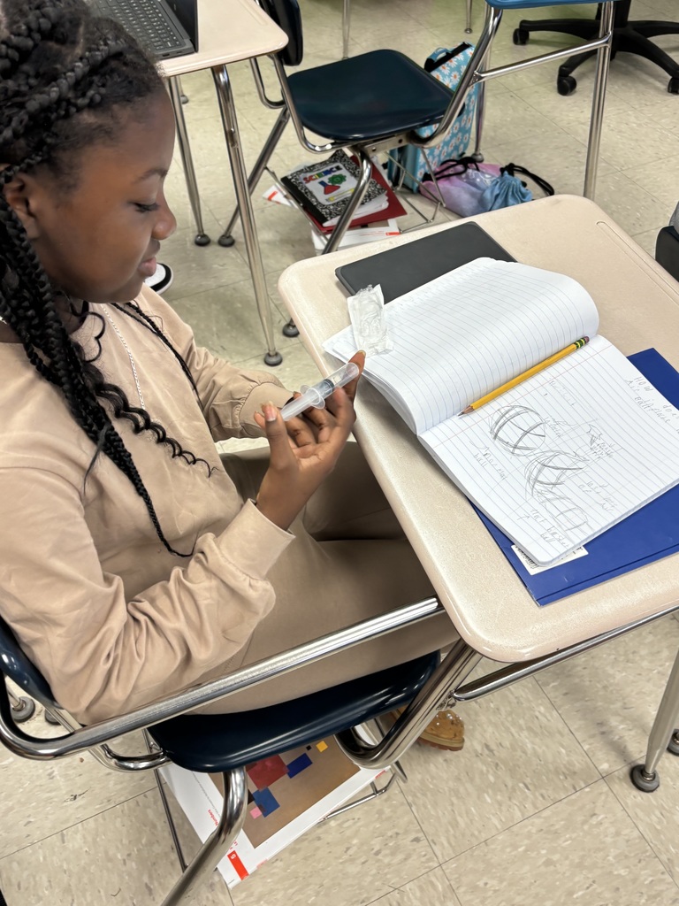 5th graders science experiments