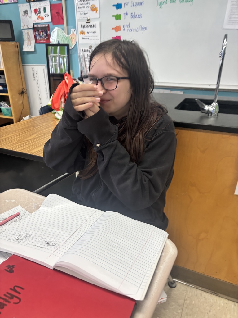 5th graders science experiments