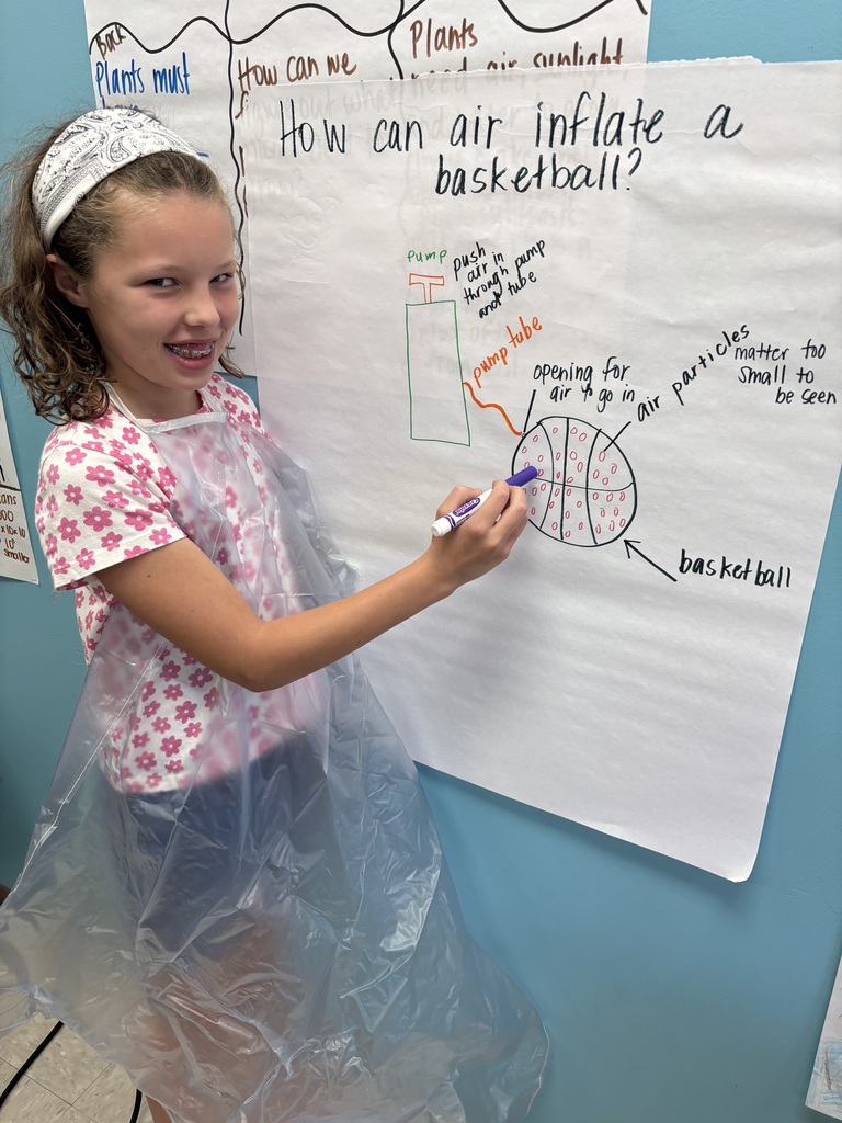 5th graders science experiments