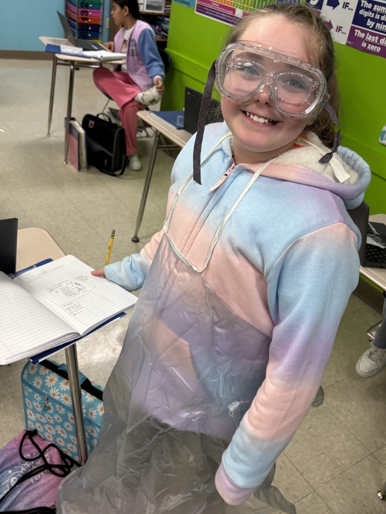 5th graders science experiments