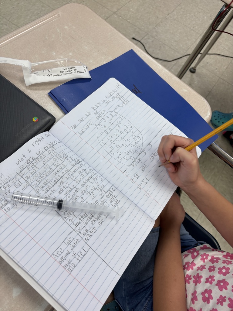 5th graders science experiments