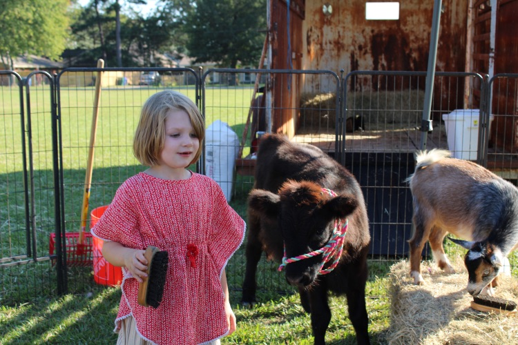 fall Festival 