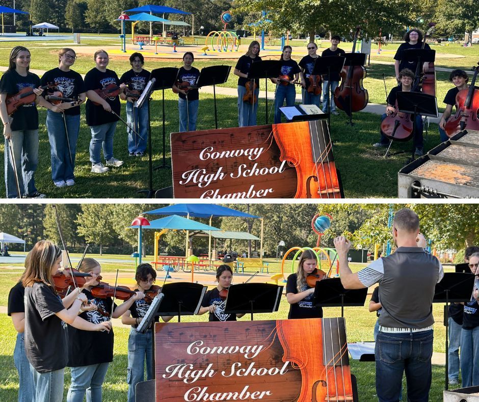 CHS Chamber Orchestra performs as ArtsFest