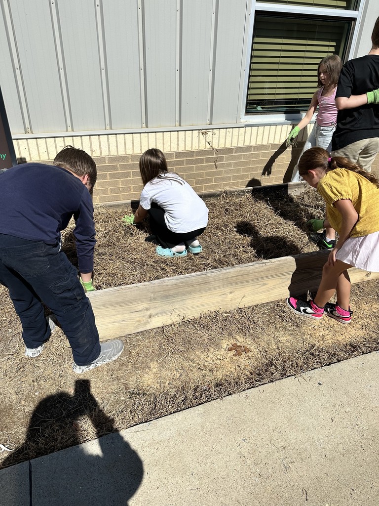 4th grade garden helpers are getting our flower beds cleaned and prepped for our future butterfly garden!