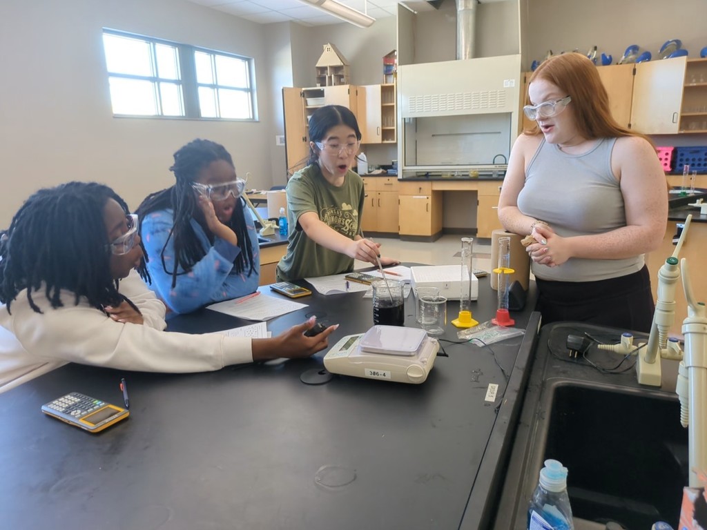 Students working on the iodine clock experiment.