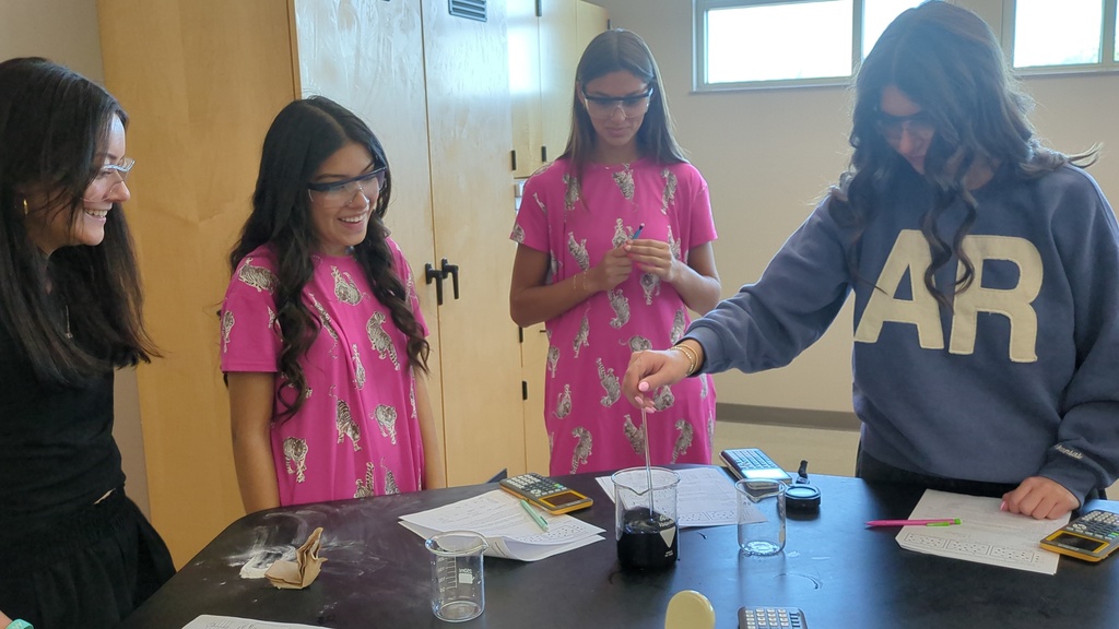 Students working on the iodine clock experiment.