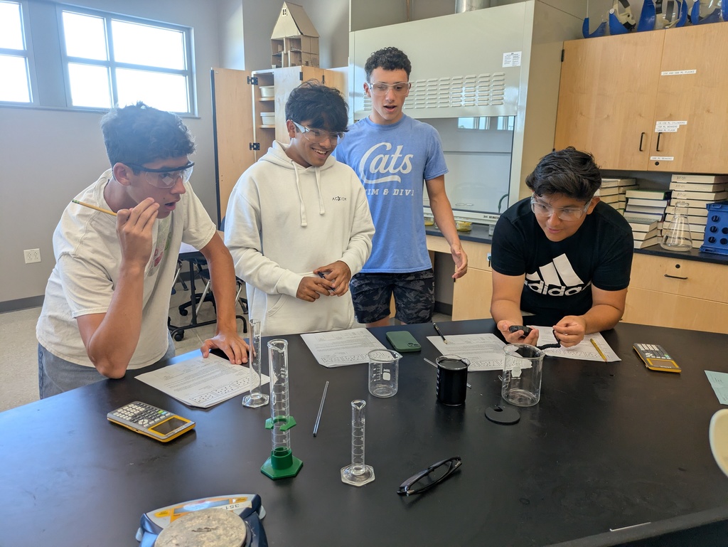 Students working on the iodine clock experiment.