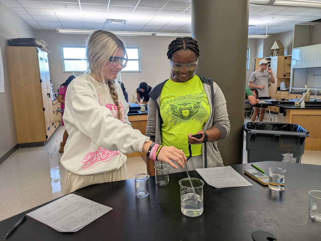 Students working on the iodine clock experiment.