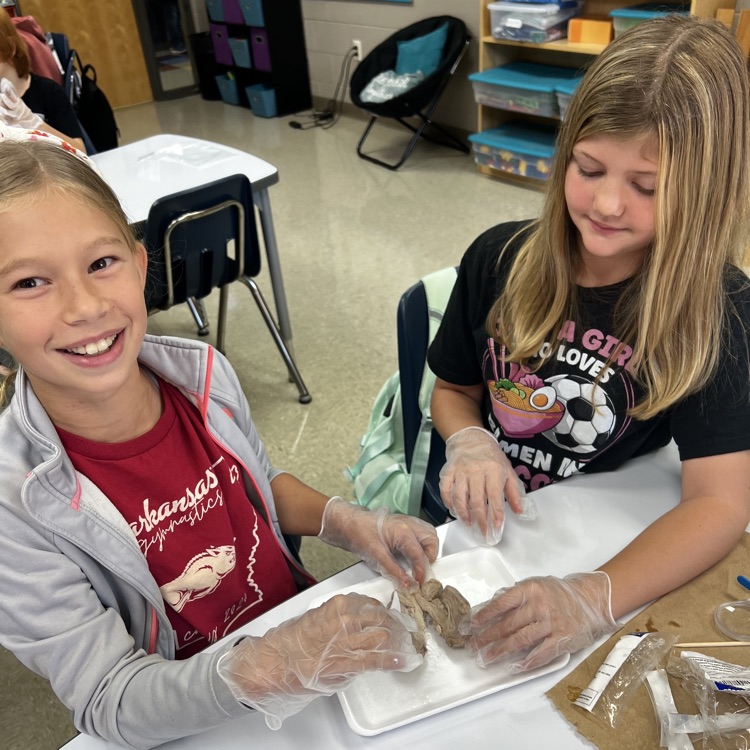 “Wrapping up our mini brain unit with hands-on discovery! 🧠 Students explored real sheep brains through dissection and then applied their learning by building creative neuron models to show how messages travel in the brain.”