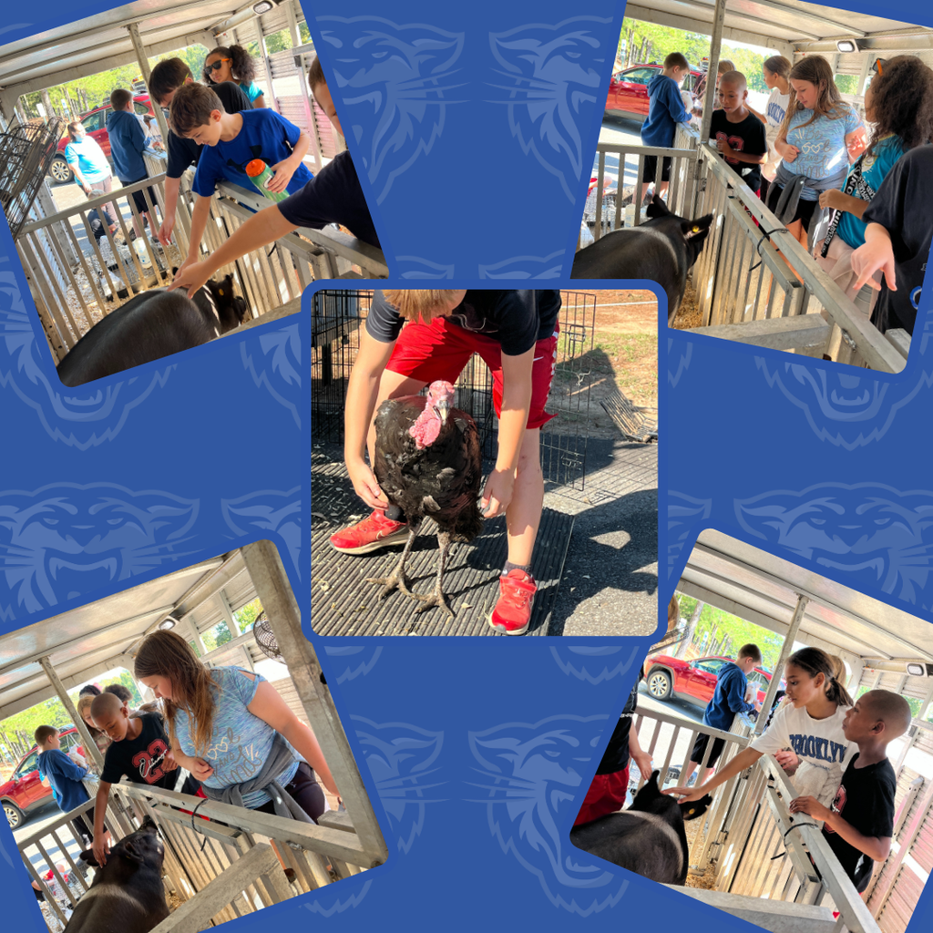 Outdoor School Pictures