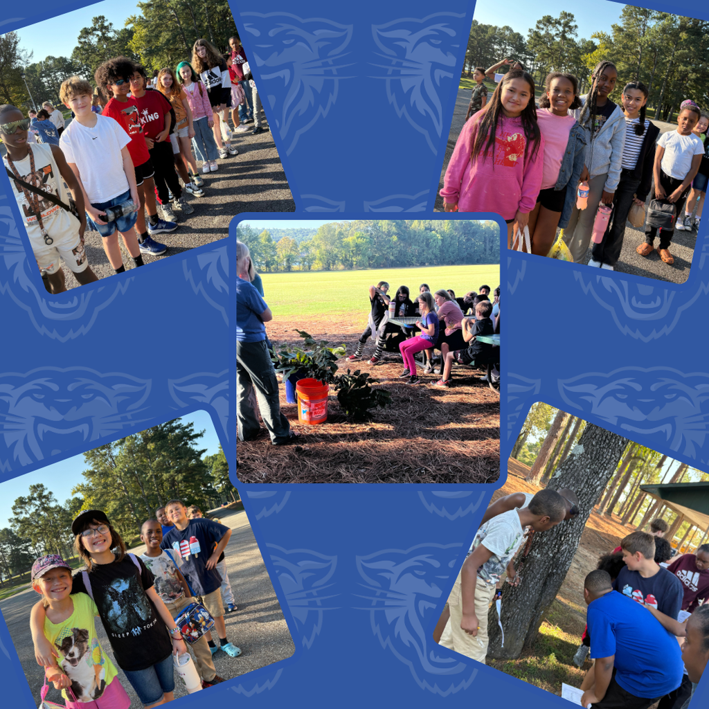 Outdoor School Pictures