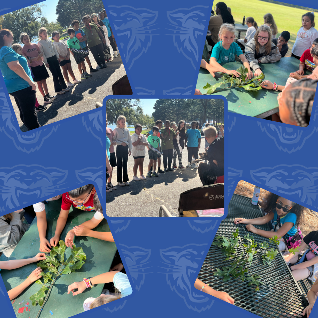 Outdoor School Pictures