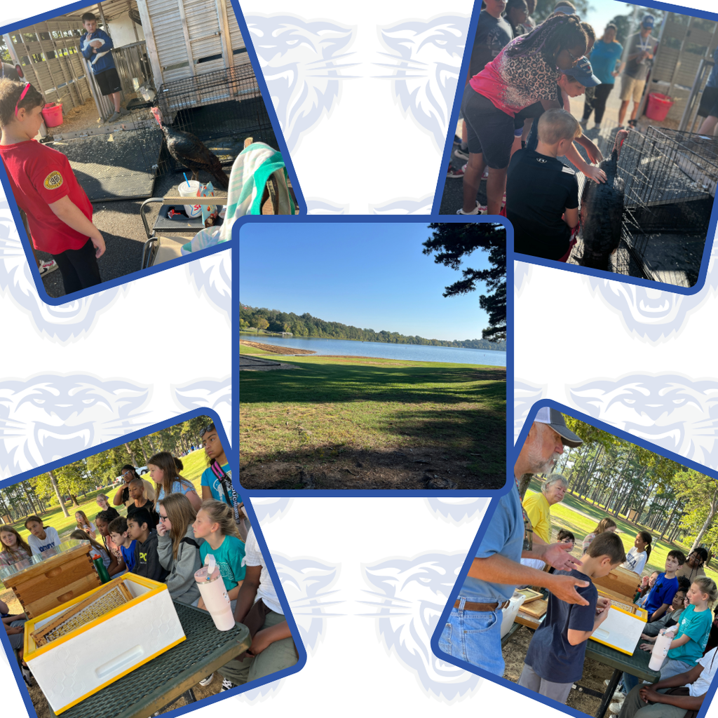 Outdoor School Pictures