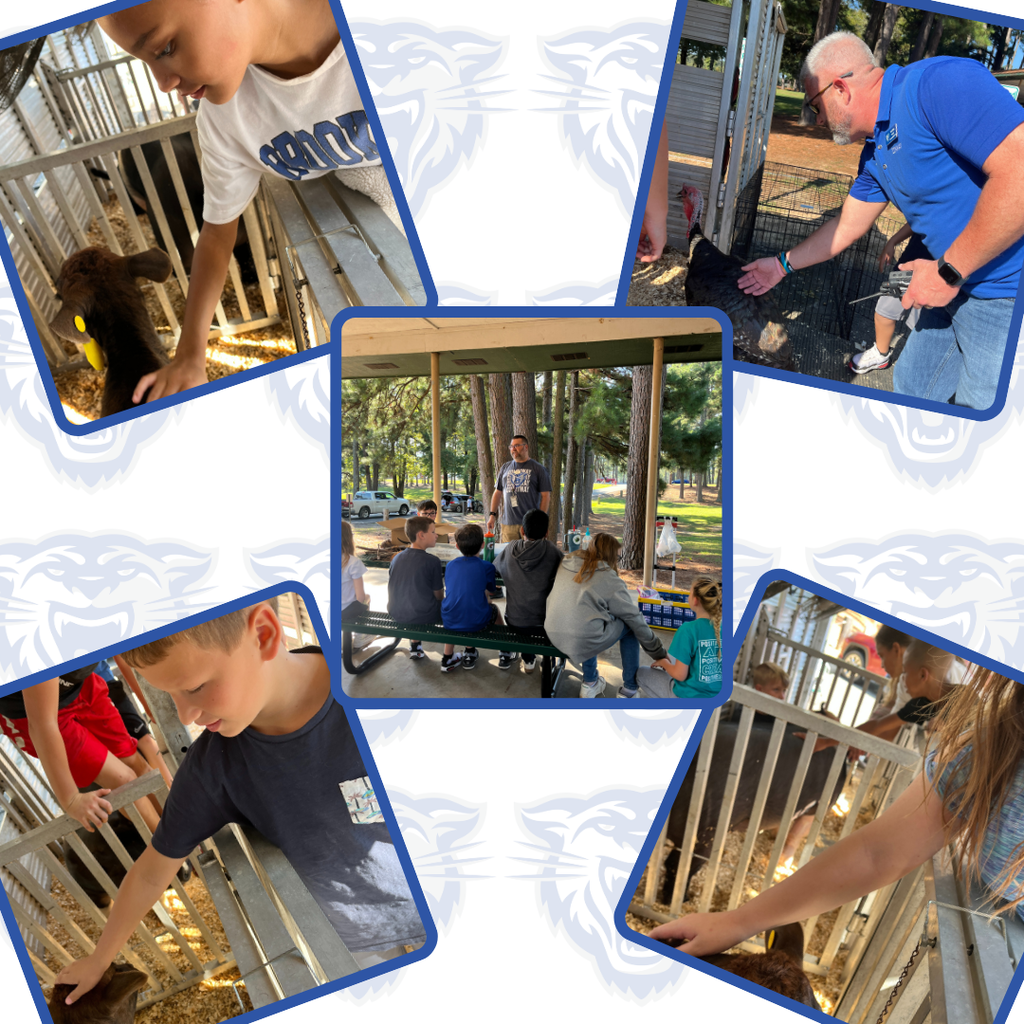 Outdoor School Pictures