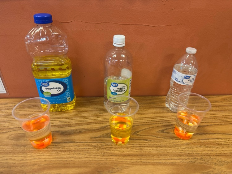 Candy Corn experiment - Students had to make a hypothesis if a candy corn would dissolve in water, oil, or vinegar. They have also been working on a writing about the history of candy corn. 
