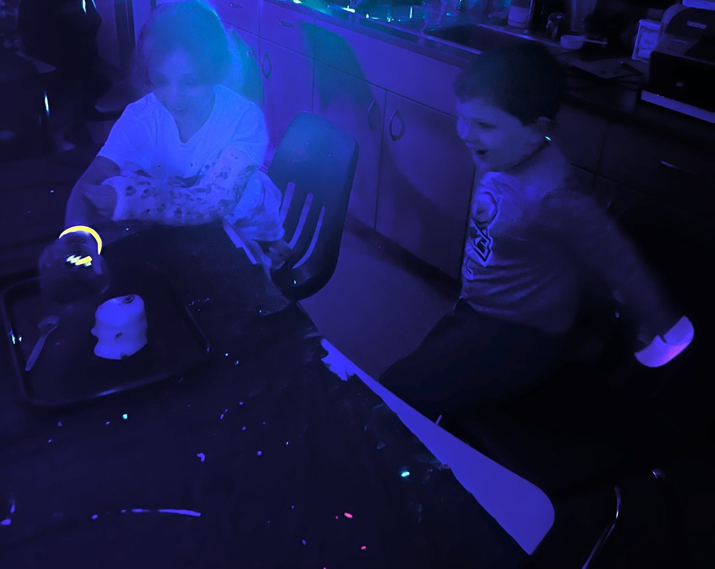 pictures from mad scientist week