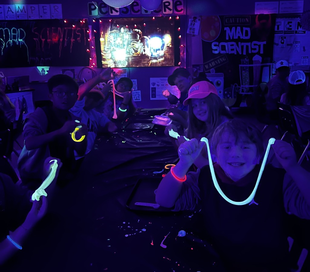 pictures from mad scientist week