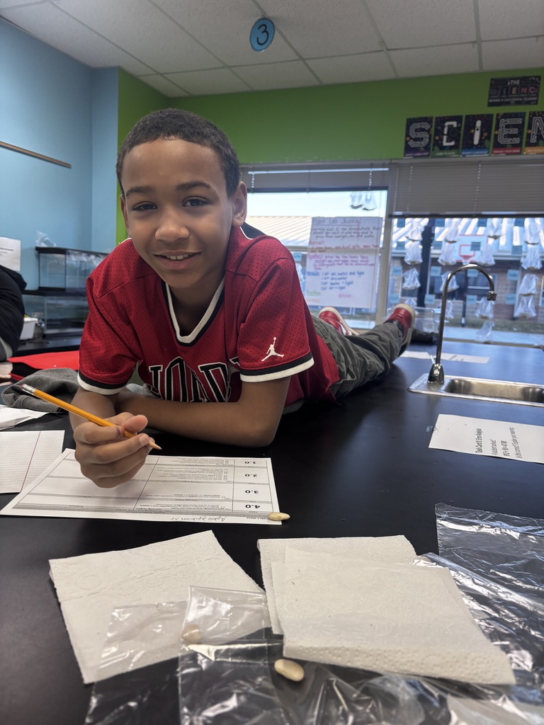 Anywhere but a chair in science class