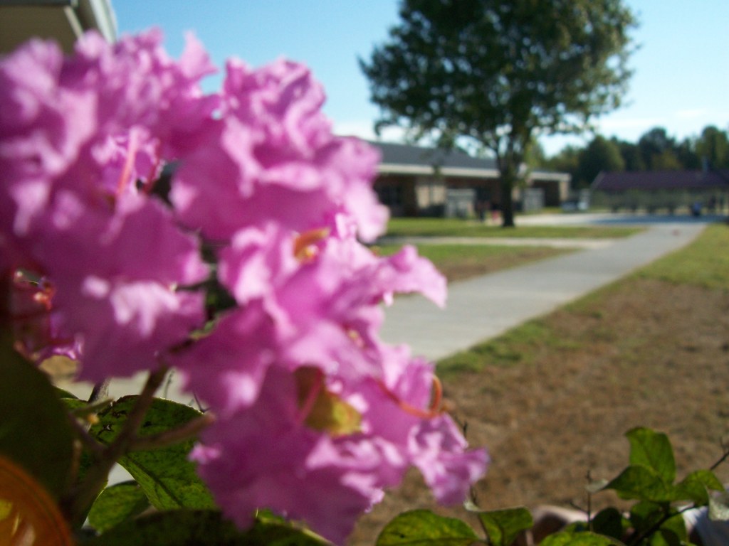 Yearbook Students Practicing Photography Around Campus