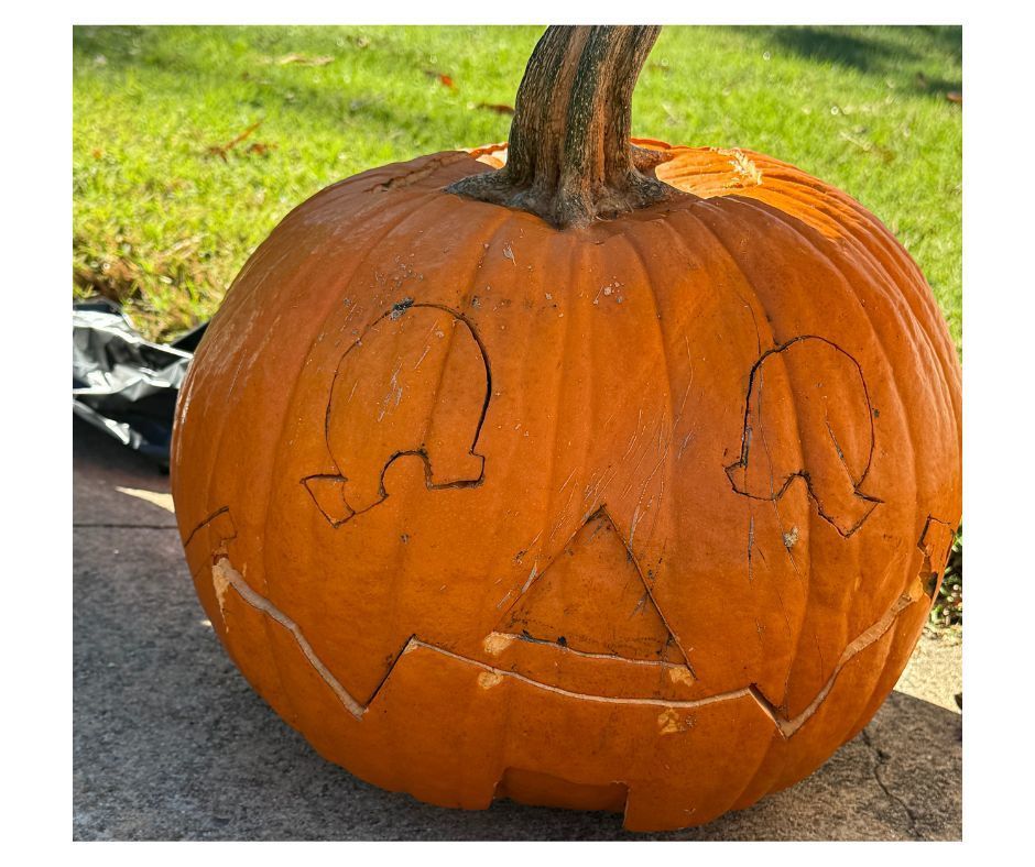 image of a carved pumpkin waiting for its turn to shine.