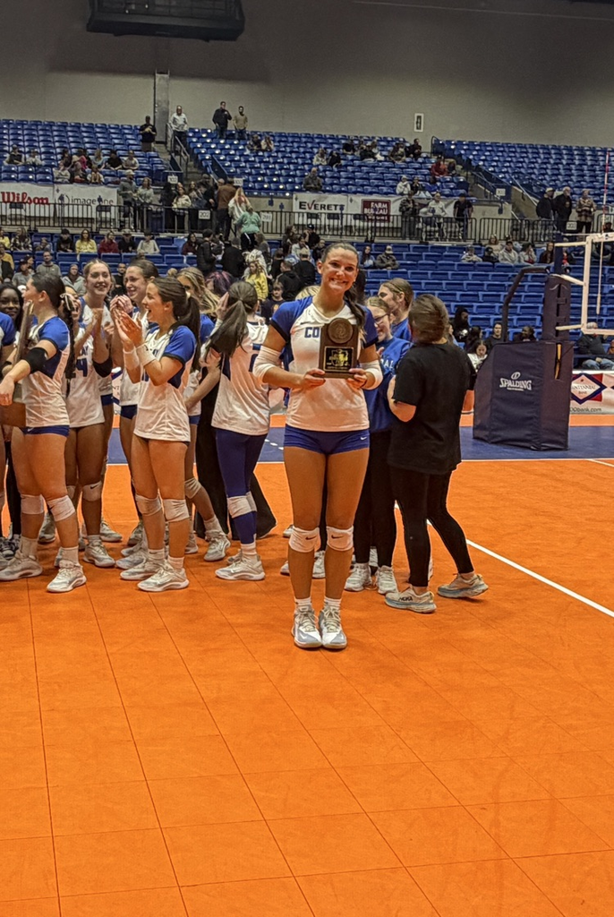 CHS volleyball team wins state championship 