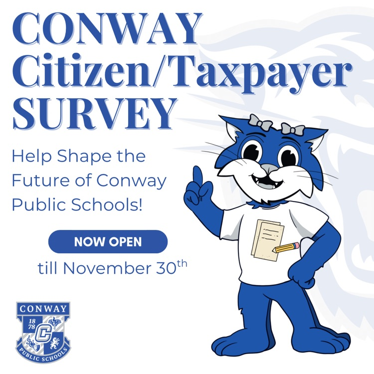 citizen survey 