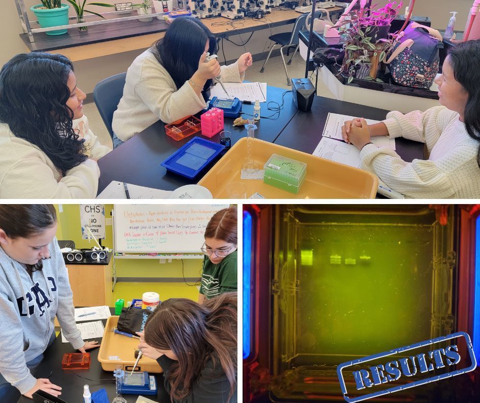 Students working through an experiment in a Biology lab,  Results shown in the bottom right corner.