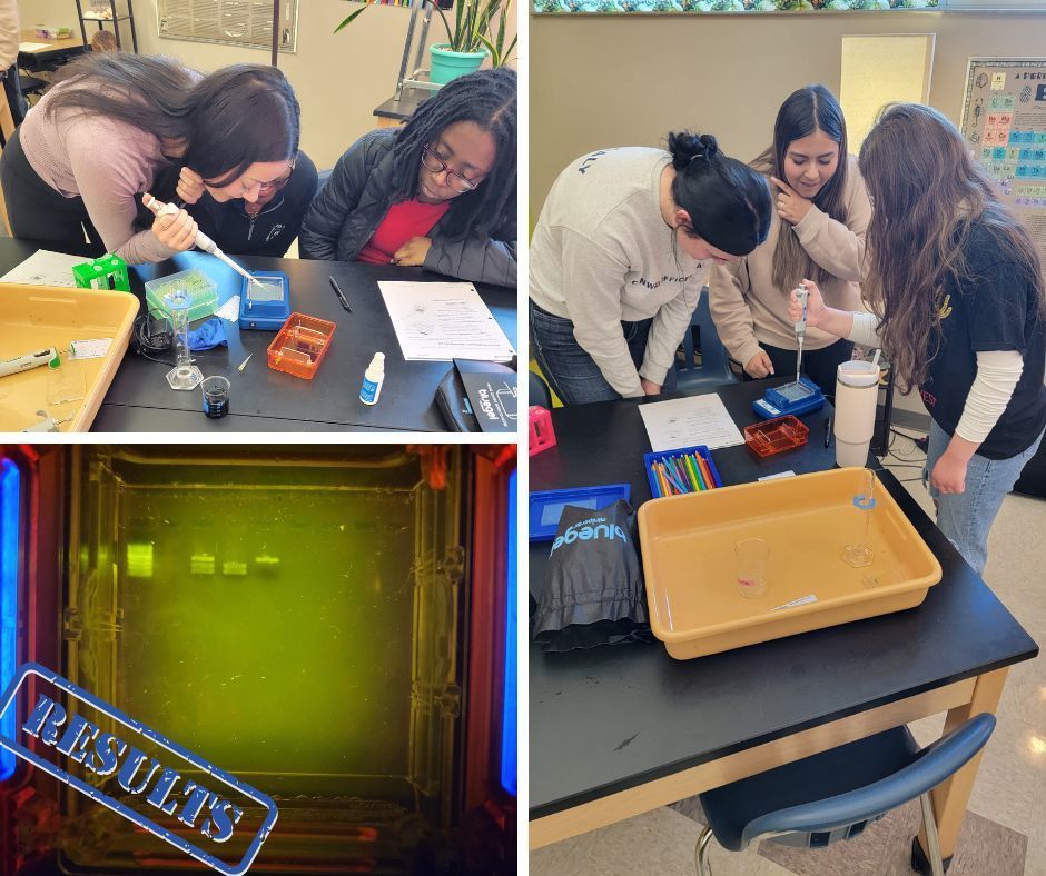 Students working through an experiment in a Biology lab,  Results shown in the bottom left corner.
