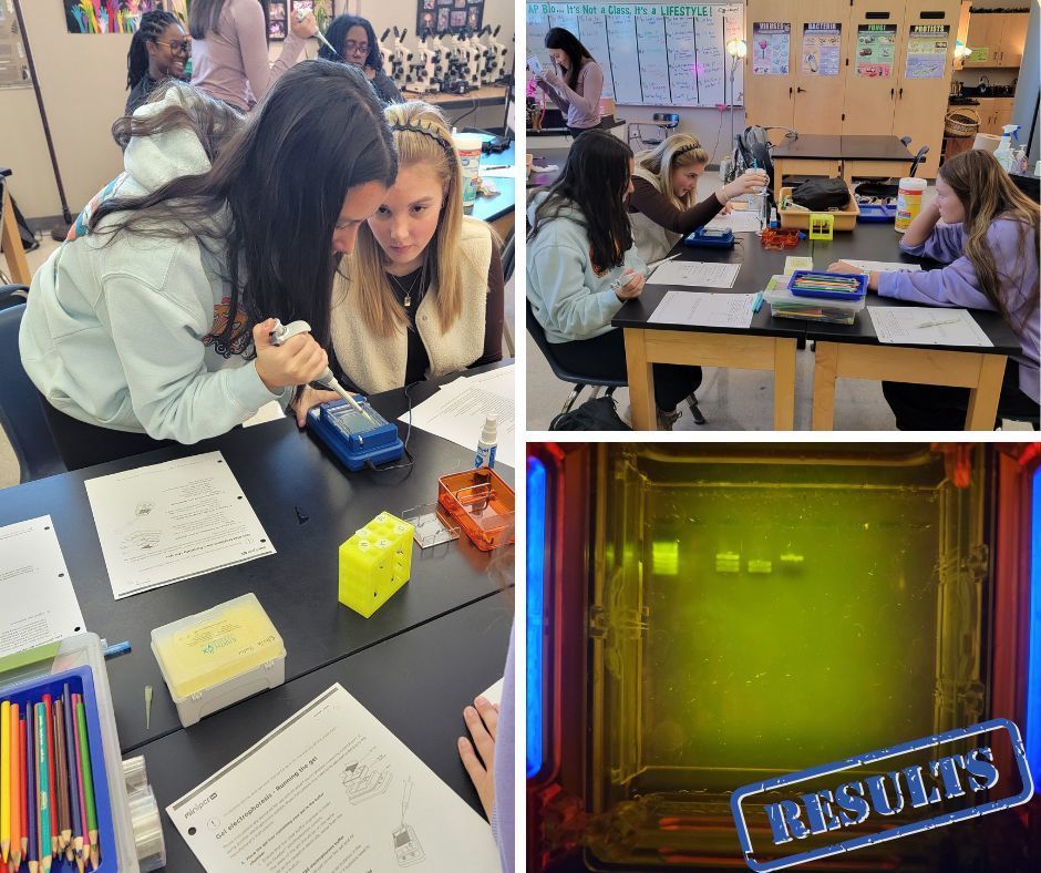 Students working through an experiment in a Biology lab,  Results shown in the bottom right corner.